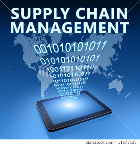 Supply Chain Management 11675525