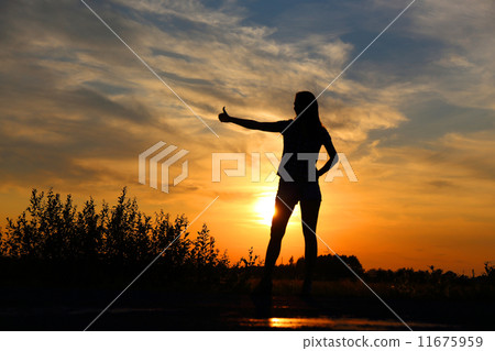 Summer sunset silhouette 11675959