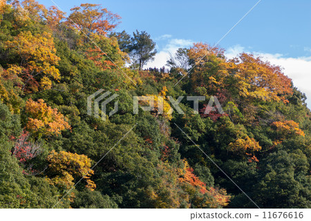 Sagano Arashiyama Sagano Arashiyama 11676616