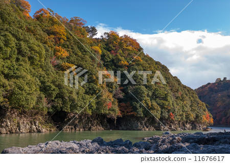 Sagano Arashiyama Sagano Arashiyama 11676617