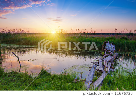 Rural summer sunrise 11676723