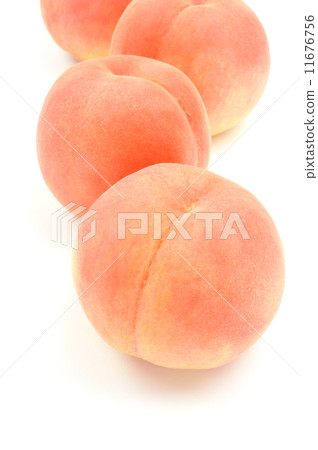 桃子 11676756