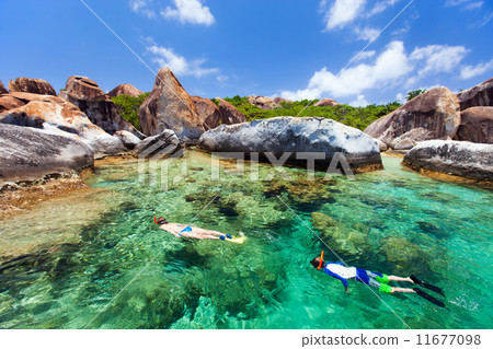 Family snorkeling at tropical water Family snorkeling at tropical water 11677098