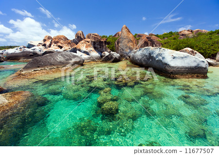 Beautiful tropical coast at Caribbean 11677507