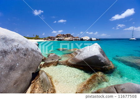 Stunning tropical beach 11677508