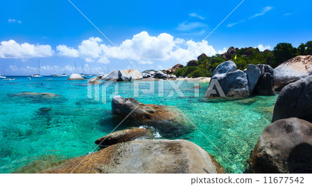 Beautiful tropical coast at Caribbean Beautiful tropical coast at Caribbean 11677542