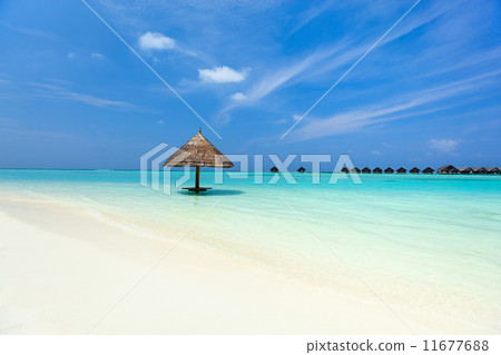 Beautiful tropical beach at Maldives 11677688