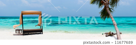Idyllic tropical beach at Maldives 11677689