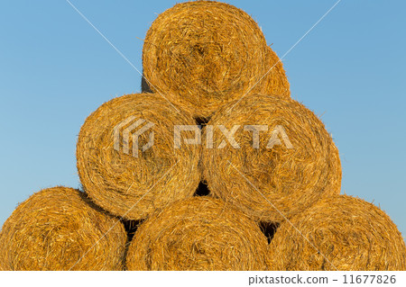 Piled hay bales on a field against blue sky Piled hay bales on a field against blue sky 11677826