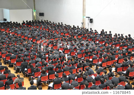 job hunting, student, students 11678845