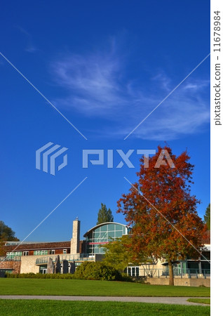 Nature view for HDR photo Nature view for HDR photo 11678984