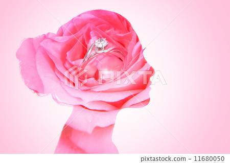 double exposure of beauty bride 11680050