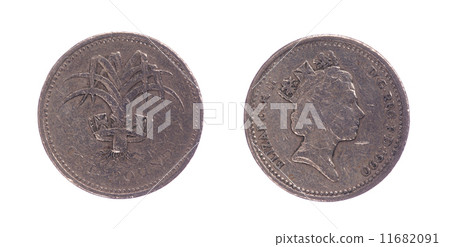 One british pound coin 11682091