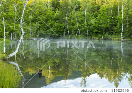 Norikura Kogen的春天 Norikura Kogen的春天 11682996