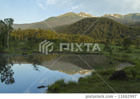 Norikura Kogen的春天 11682997