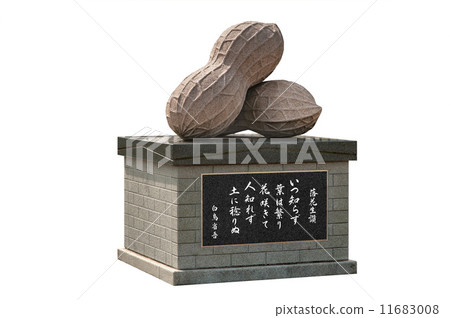 千葉縣八街市的花生雕像 11683008