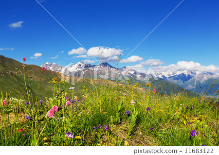 Caucasus mountains Caucasus mountains 11683122