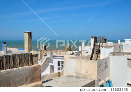 Essaouira roofs 11683368