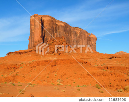 Elephant Butte in Monument Valley 11683608