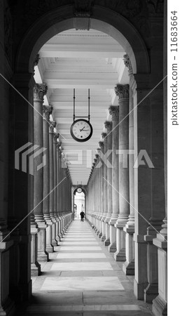 Mill colonnade in Karlovy Vary in black and white 11683664