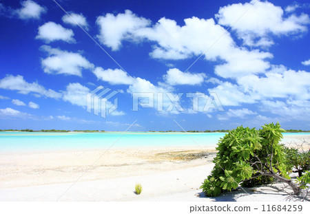 Sea of Christmas Island 15 Sea of Christmas Island 15 11684259