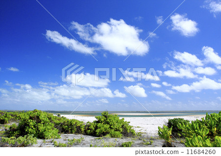 Sea of Christmas Island 14 11684260
