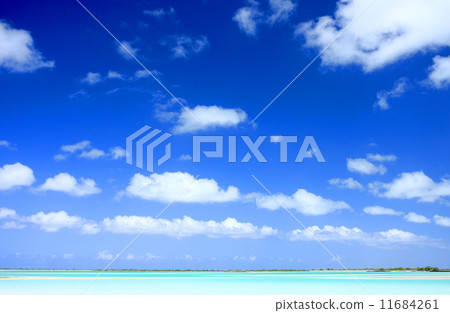 聖誕島海16 11684261