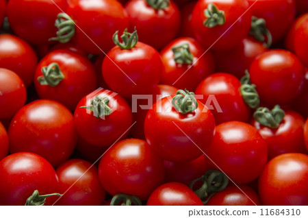 Tomato Tomato 11684310