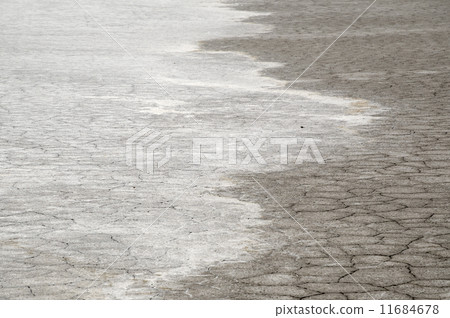Salt land Salt land 11684678