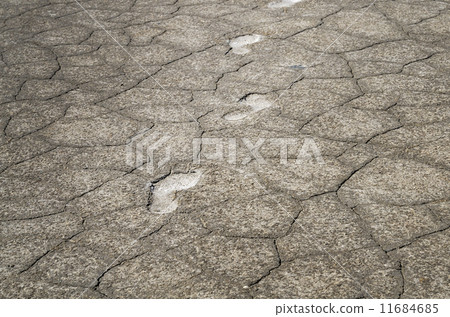 Footsteps in salt 11684685