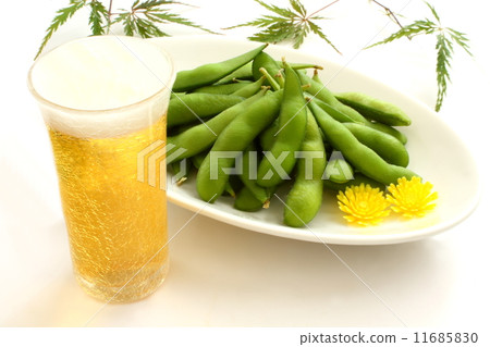 Edamame beer Japanese style white background 11685830
