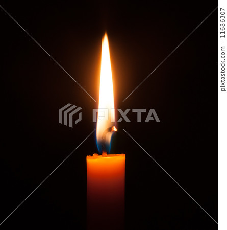 candlelight. candlelight. 11686307