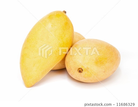 mango fruit. 11686329