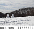Snowman 11686524