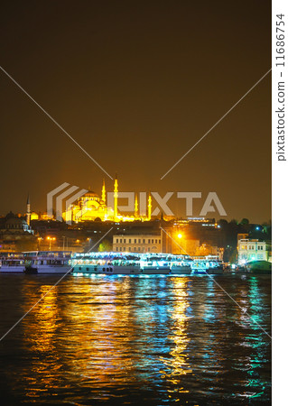 Istanbul cityscape with Suleymaniye Mosque 11686754