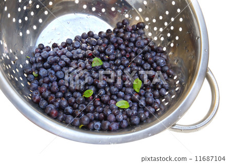 Blueberries 11687104