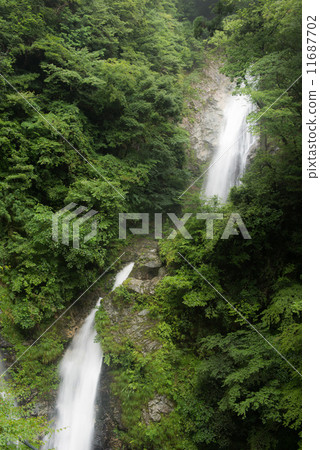 Hara Falls waterfall and waterfalls 11687702