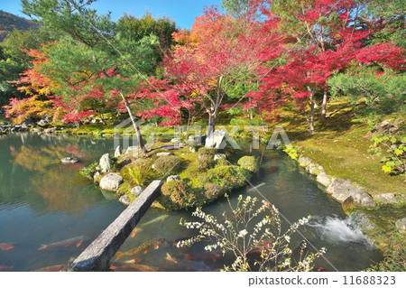 Fall of Tenryuji 11688323