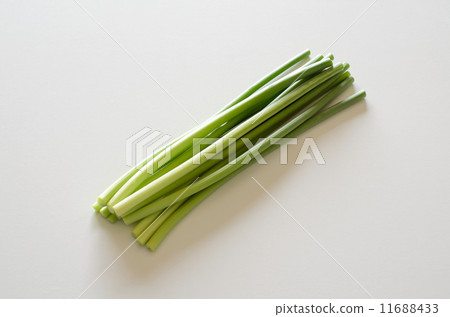 Garlic bud Garlic bud 11688433