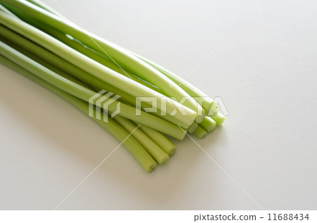 蒜芽 11688434