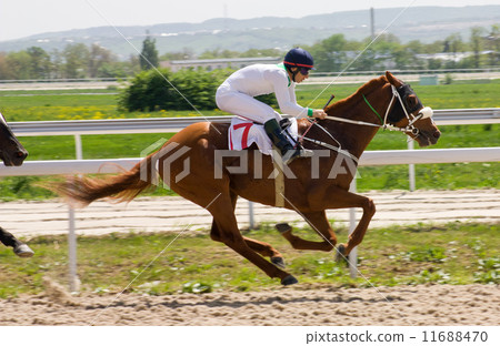 Horse racing Horse racing 11688470