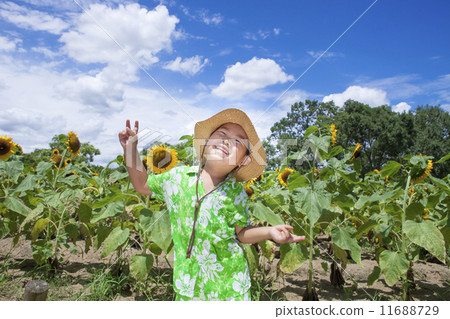 A sunflower field and a smiling child A sunflower field and a smiling child 11688729