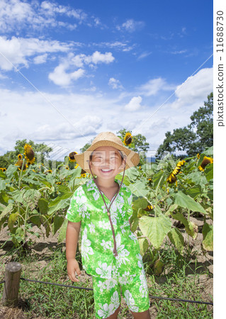 A sunflower field and a smiling child A sunflower field and a smiling child 11688730