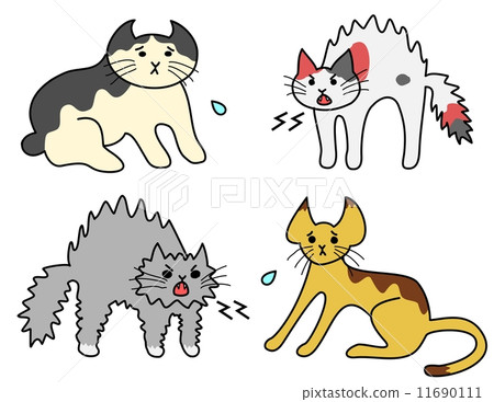 13,400+ Angry Cat Stock Illustrations, Royalty-Free Vector