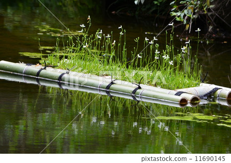 Rusted raft in a pond Rusted raft in a pond 11690145