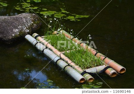 Saori raft in Showa Memorial Park Saori raft in Showa Memorial Park 11690146