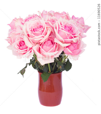 bunch of fresh pink roses bunch of fresh pink roses 11690526