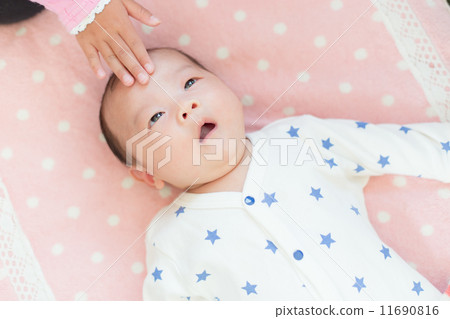 兄弟姐妹2個月大的寶寶 兄弟姐妹2個月大的寶寶 11690816