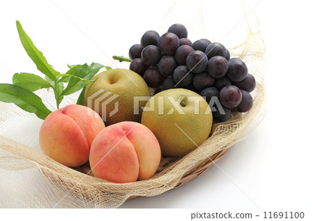 Autumn taste 11691100