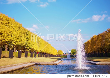 在槭樹街道上的噴泉 11691587